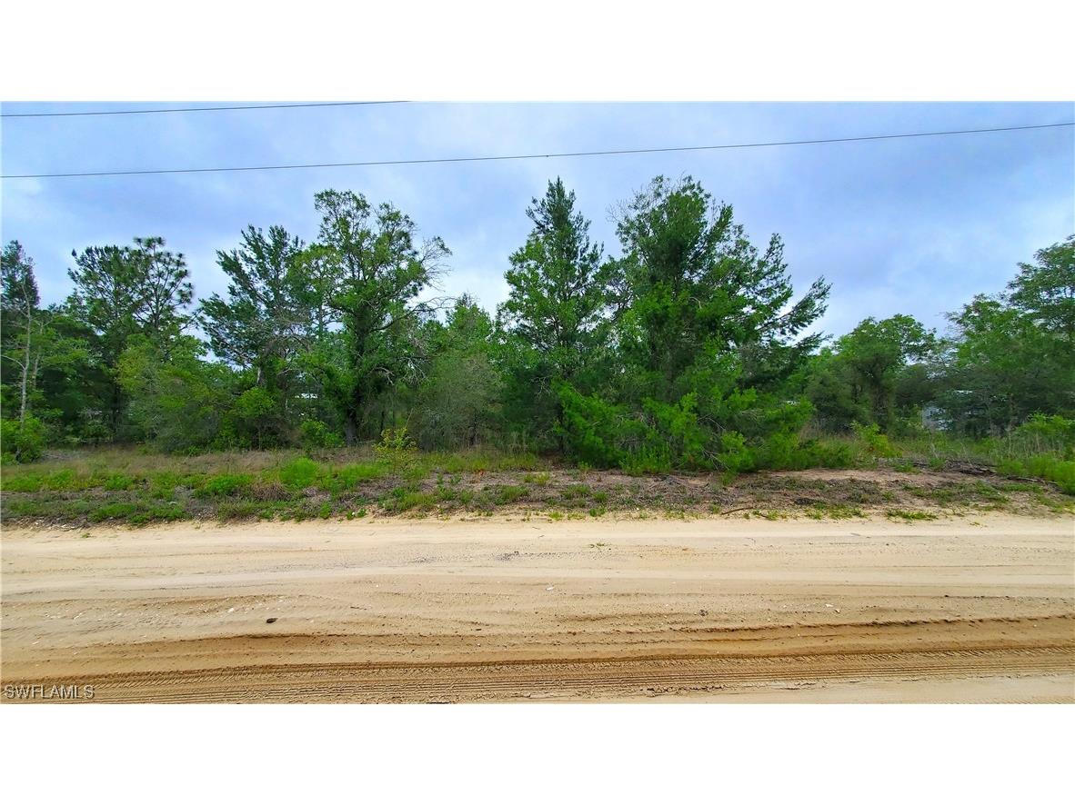 5391 W Osmond Lane Dunnellon FL 34433 223041892 image1