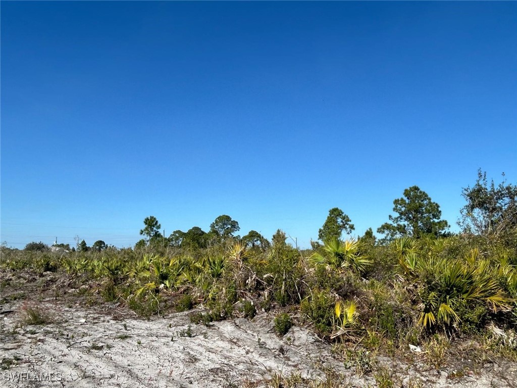 6007 Hanna Avenue N Lehigh Acres FL 33971 225003955 image2