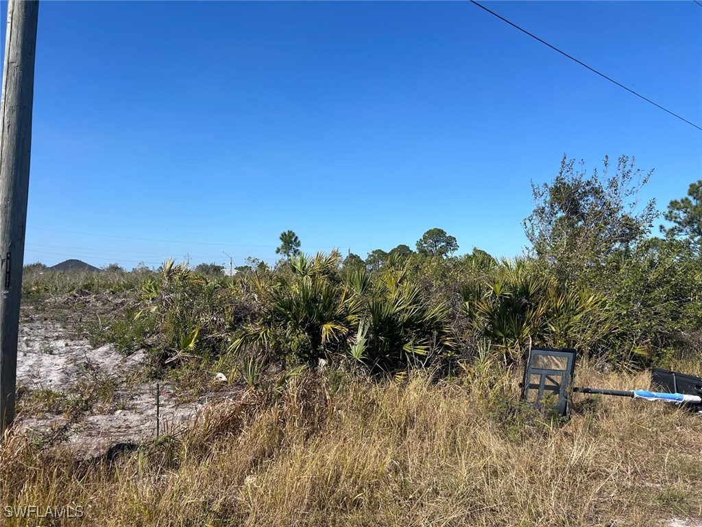 6007 Hanna Avenue N Lehigh Acres FL 33971 225003955 image3