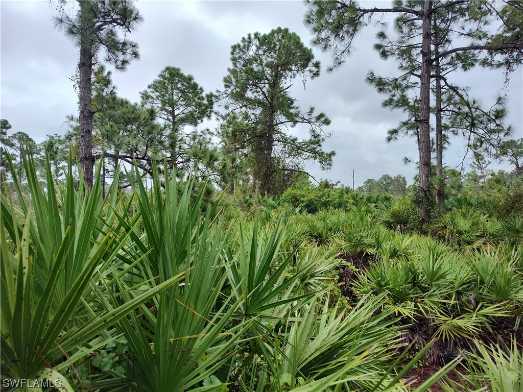 6008 Rena Avenue N Lehigh Acres FL 33971 223075318 image1