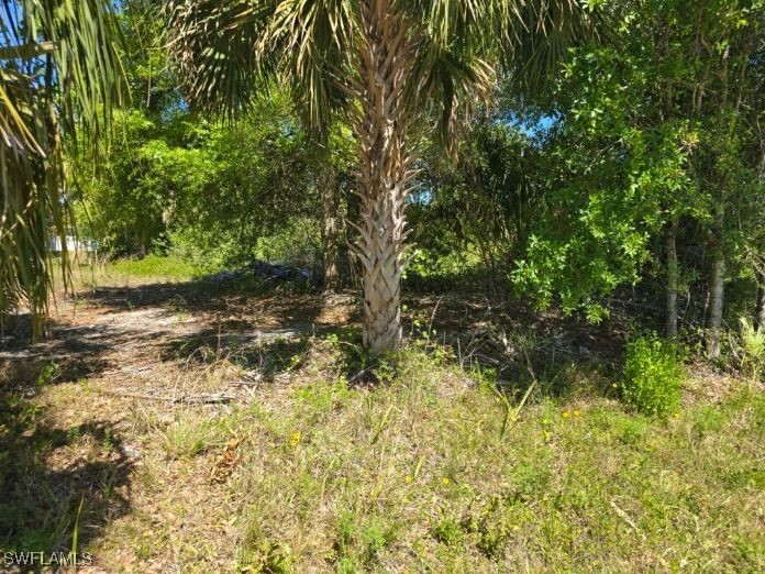 6009 Jonathan Avenue Fort Myers FL 33905 225021188 image4