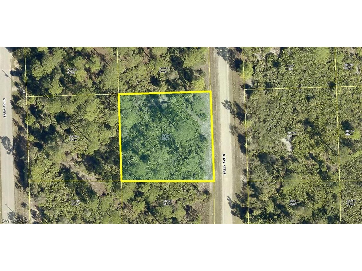 6011 Sally Avenue N Lehigh Acres FL 33971 223059614 image1