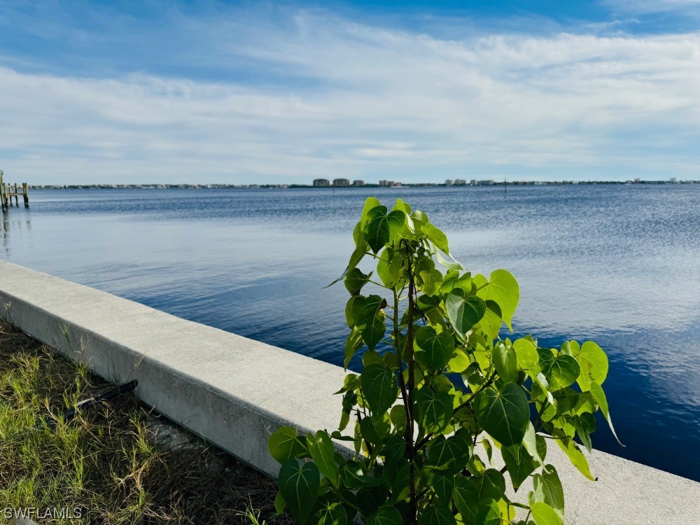 602 Coral Drive Cape Coral FL 33904 223092173 image7