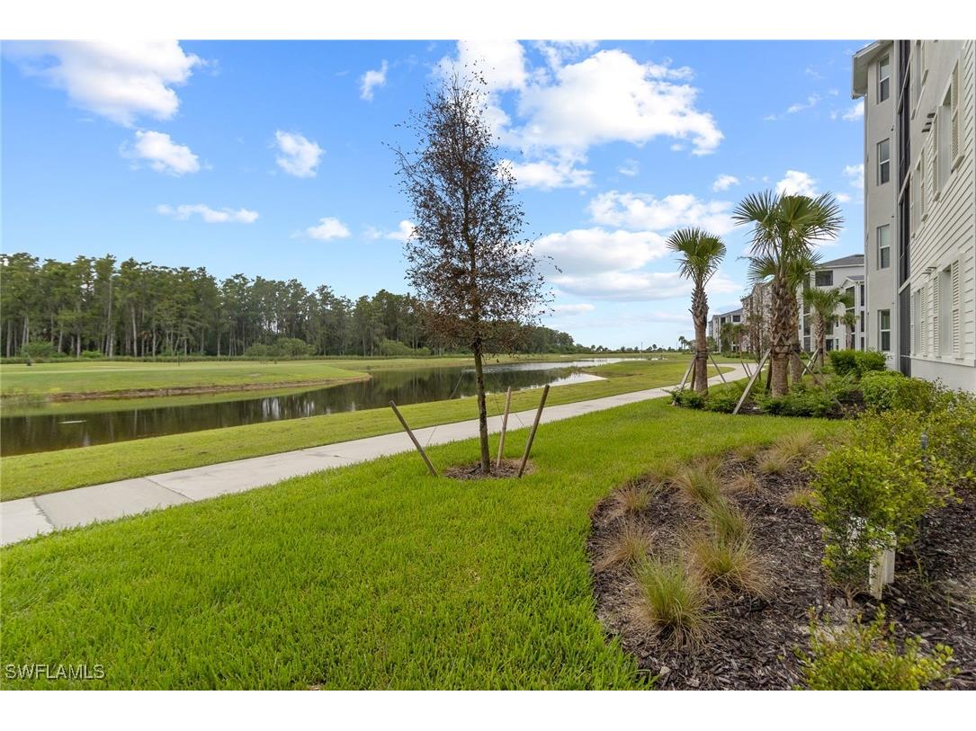 6034 National Boulevard #513 Ave Maria FL 34142 225048052 image19