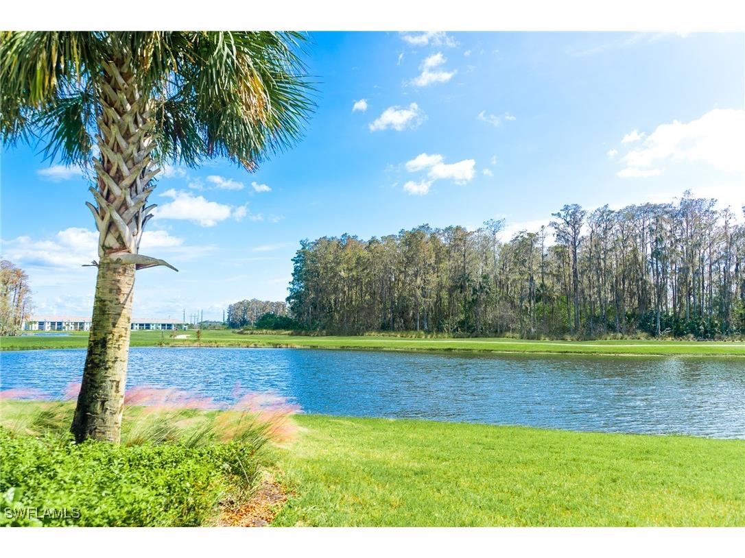 6046 National Boulevard #417 Ave Maria FL 34142 224088331 image1