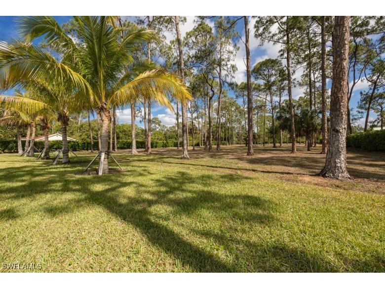 6145 Sea Grass Lane Naples FL 34116 225045183 image34
