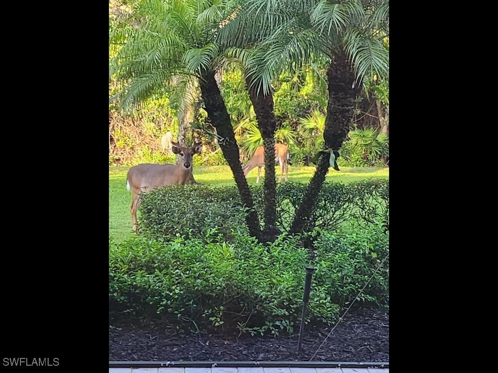 6445 Costa Circle Naples FL 34113 225037554 image26