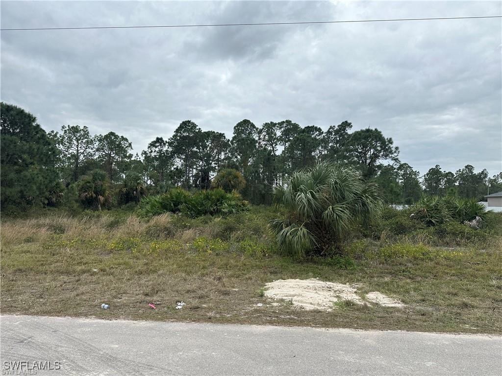 650 Knapp Street Lehigh Acres FL 33974 224074974 image4