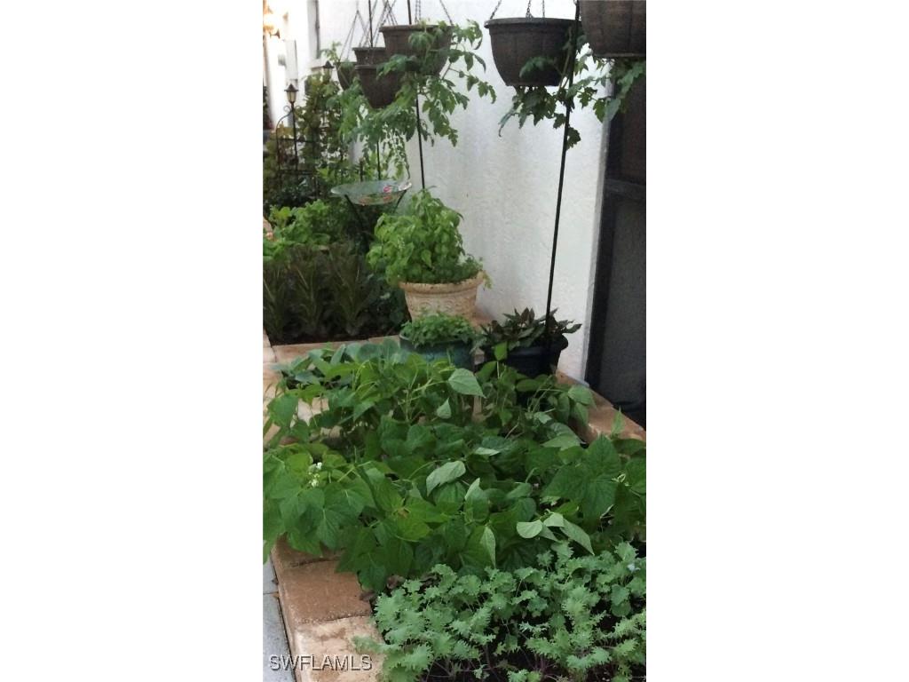 6721 Southwell Drive Fort Myers FL 33966 225045463 image28