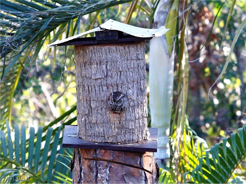 6831 Tropical Lane Bokeelia FL 33922 225033246 image43