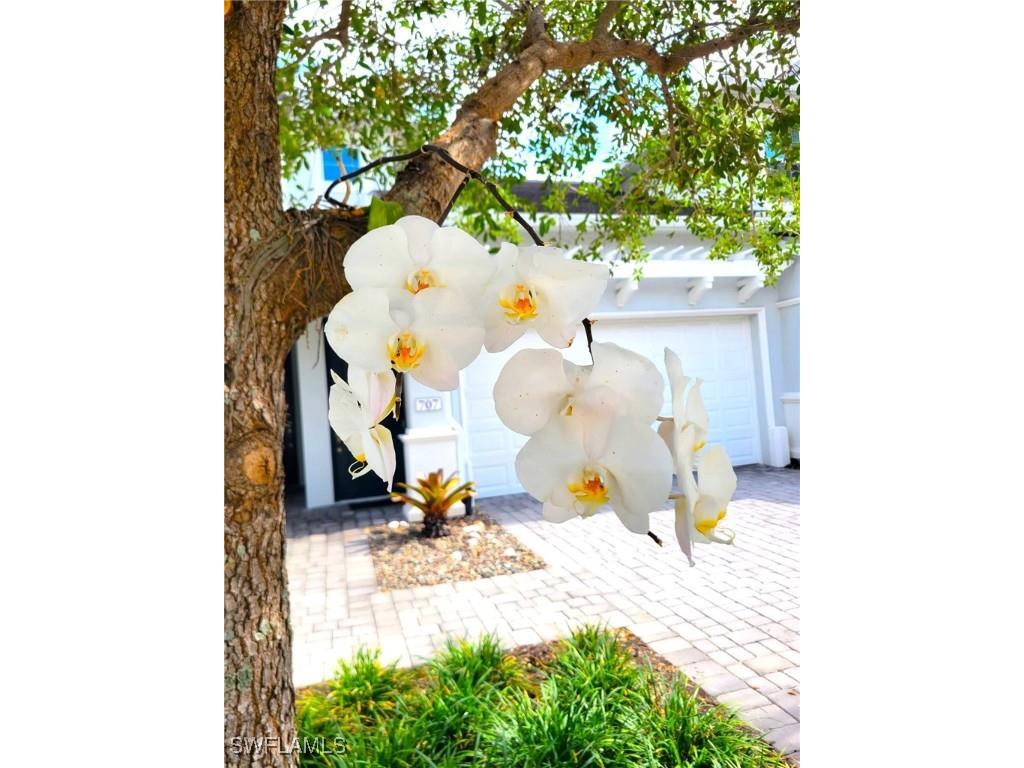 6954 Avalon Circle #703 Naples FL 34112 225051868 image17