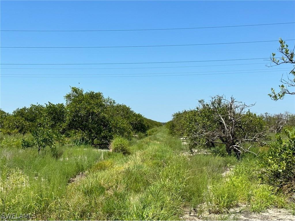 6th Sears Road Labelle FL 33935 224033365 image5