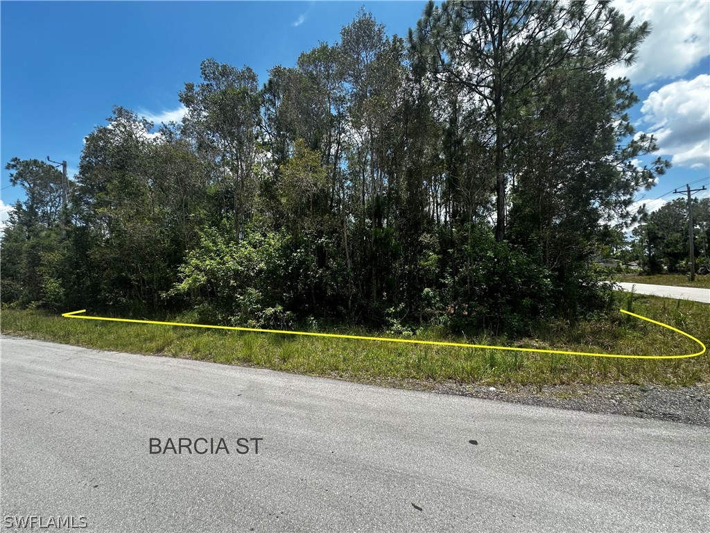 700 Barcia Street E Lehigh Acres FL 33974 224049386 image1