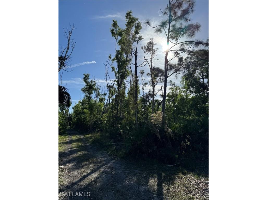 7001 Guava Avenue Bokeelia FL 33922 224100440 image10