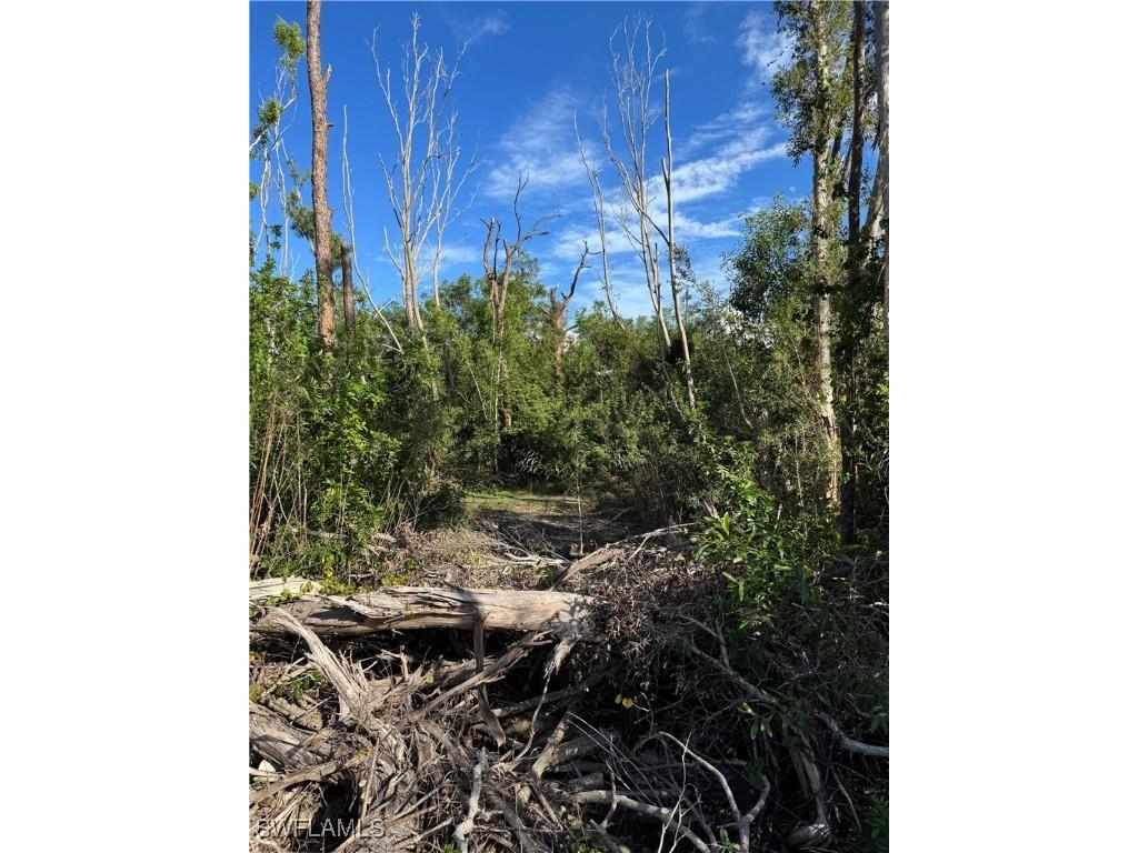 7001 Guava Avenue Bokeelia FL 33922 224100440 image8