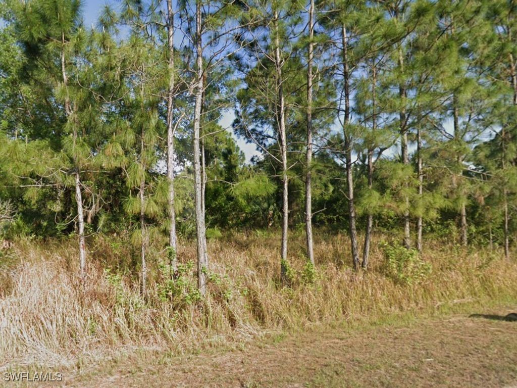 708 Clayton Avenue Lehigh Acres FL 33972 225026746 image2