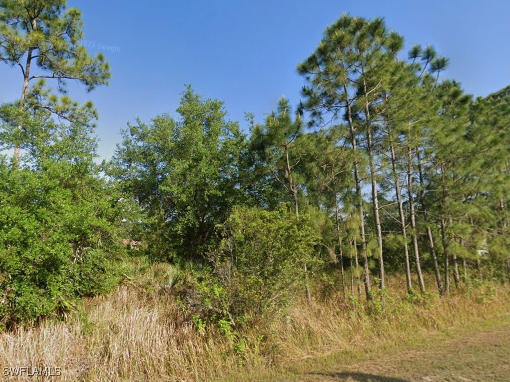 708 Clayton Avenue Lehigh Acres FL 33972 225026746 image3