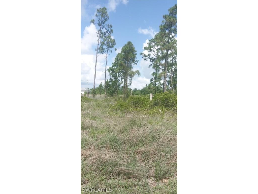 710 Giorgio Avenue S Lehigh Acres FL 33974 224055374 image2