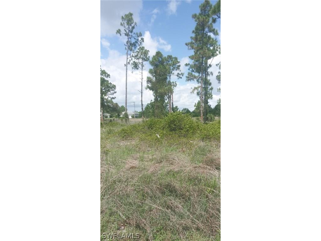 710 Giorgio Avenue S Lehigh Acres FL 33974 224055374 image3