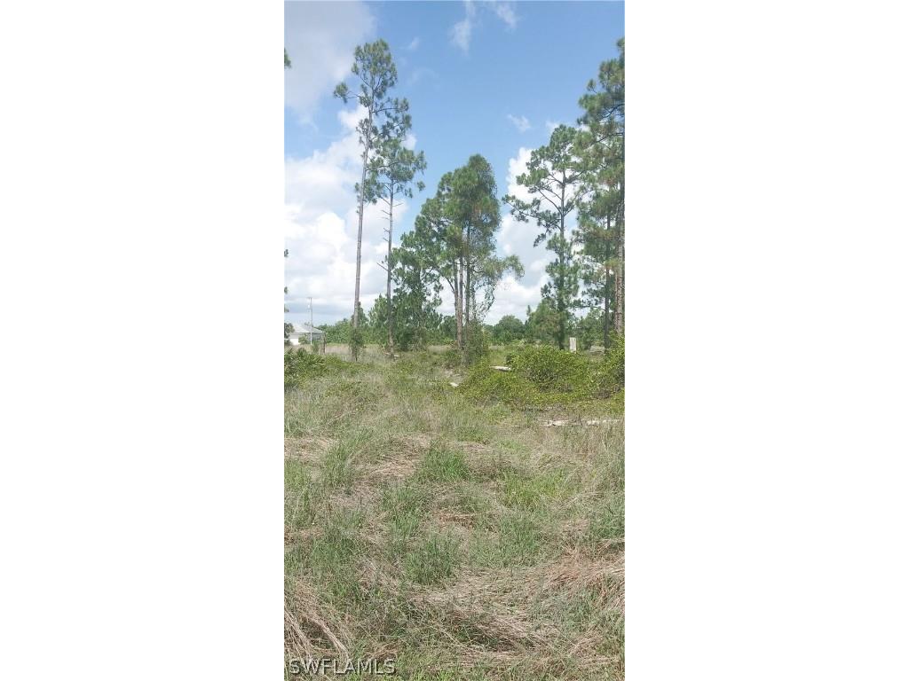 710 Giorgio Avenue S Lehigh Acres FL 33974 224055374 image5