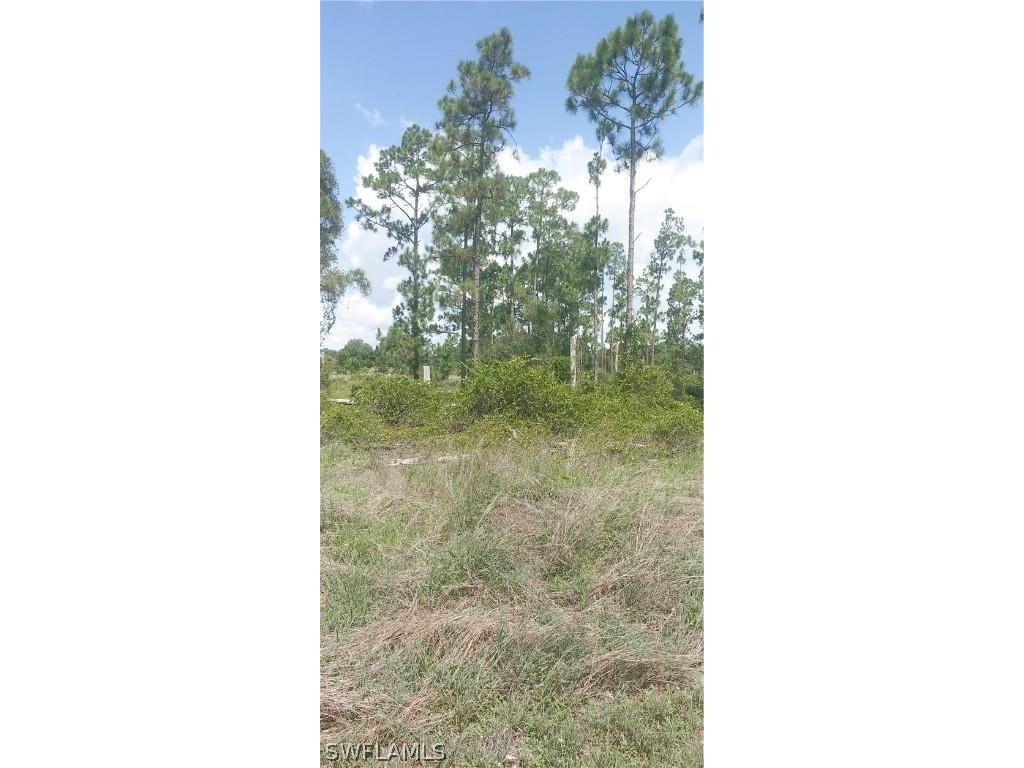 710 Giorgio Avenue S Lehigh Acres FL 33974 224055374 image6