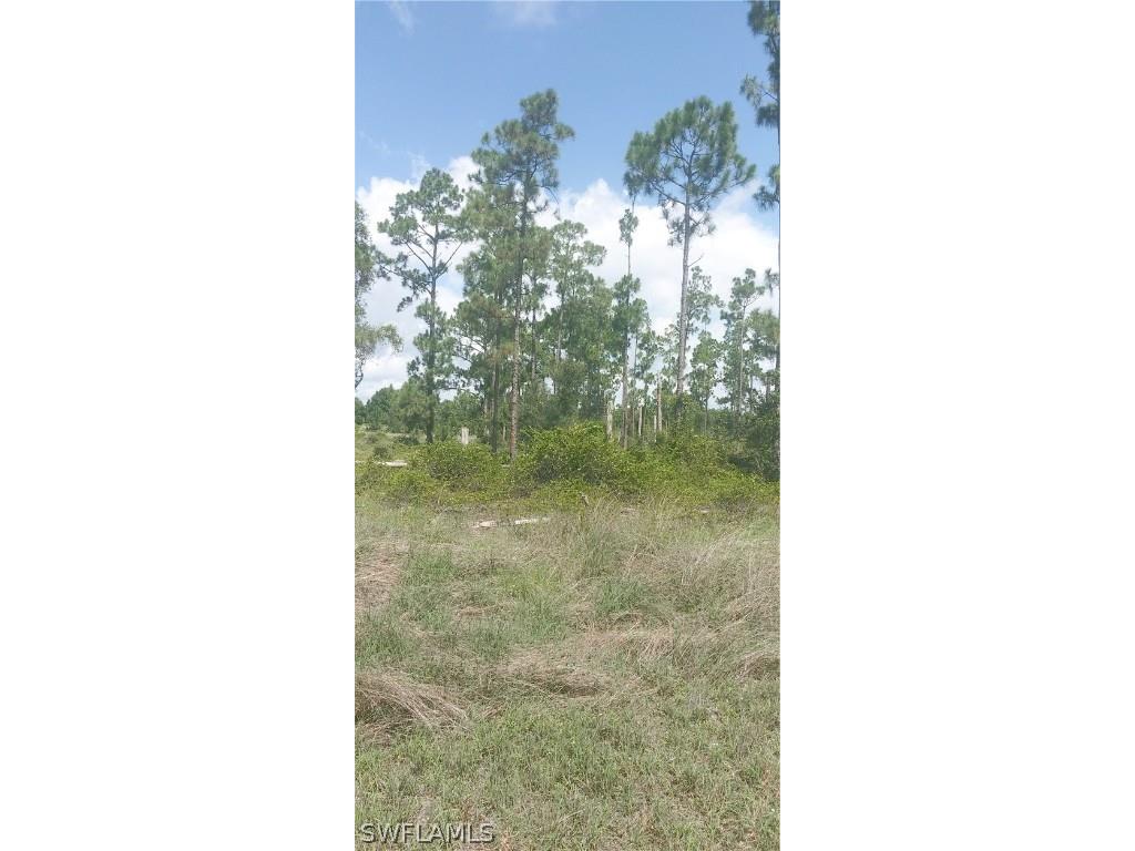 710 Giorgio Avenue S Lehigh Acres FL 33974 224055374 image7