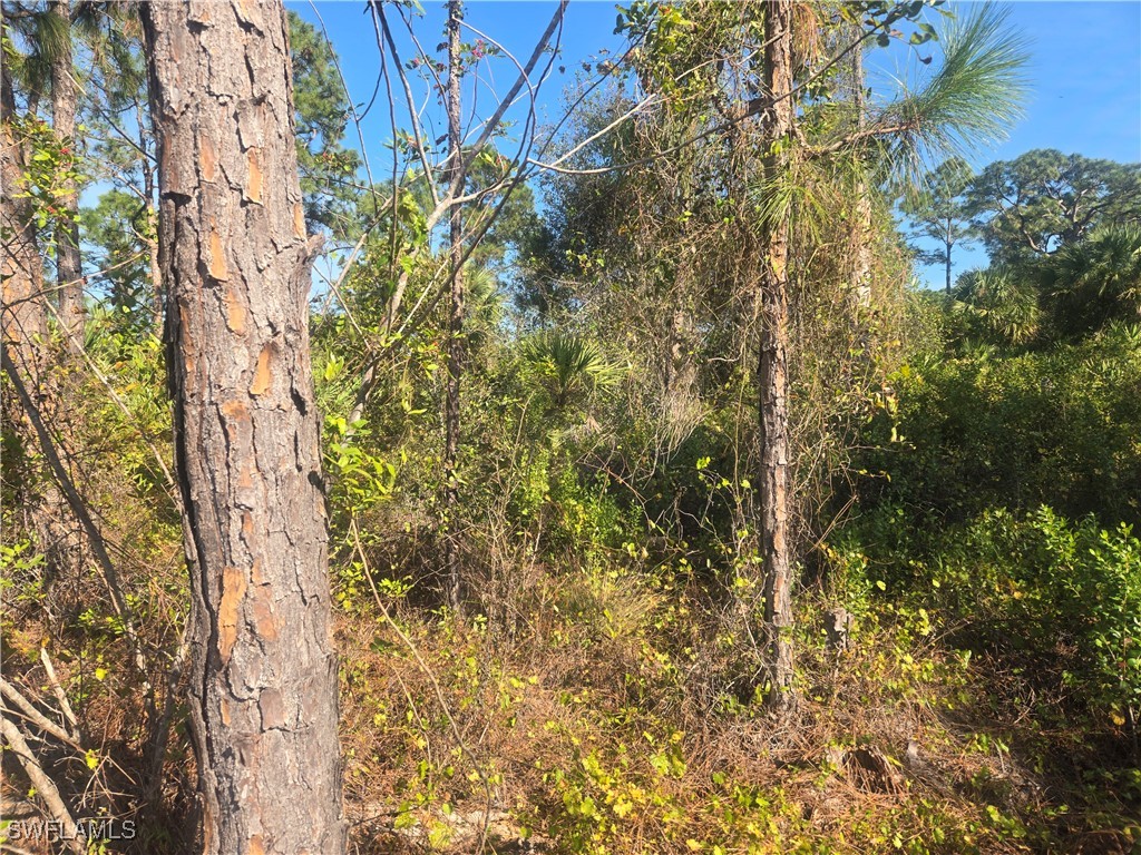 711 Giorgio Avenue S Lehigh Acres FL 33974 224099332 image1