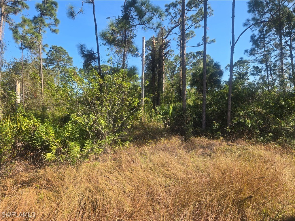 711 Giorgio Avenue S Lehigh Acres FL 33974 224099332 image2