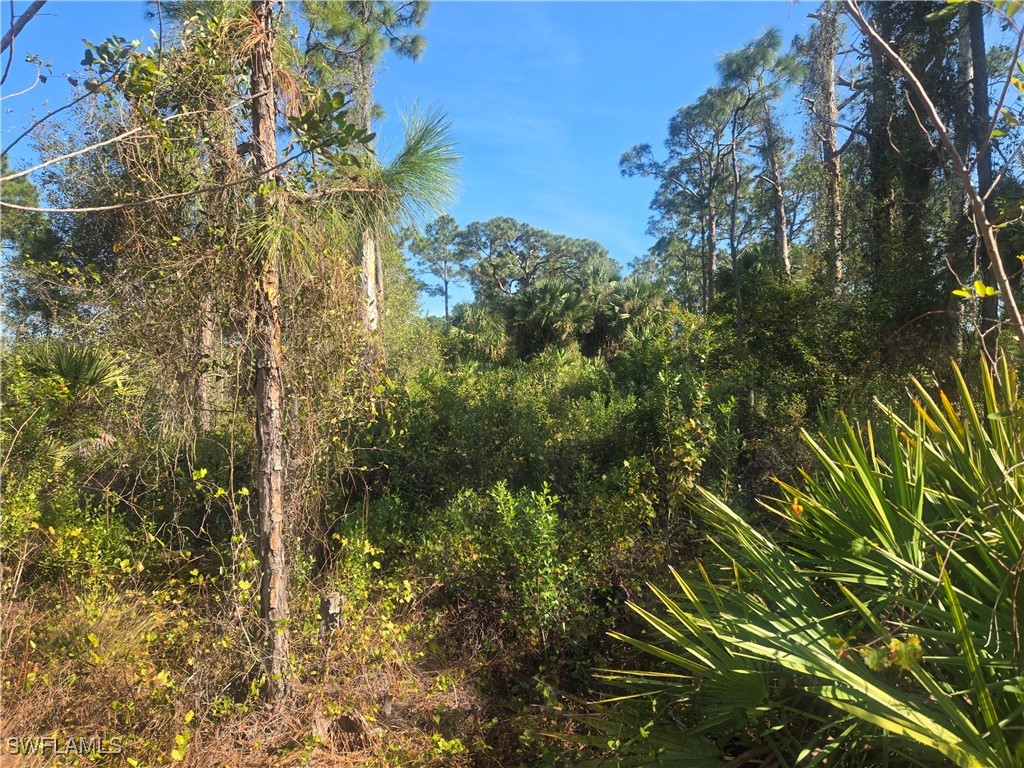 711 Giorgio Avenue S Lehigh Acres FL 33974 224099332 image3