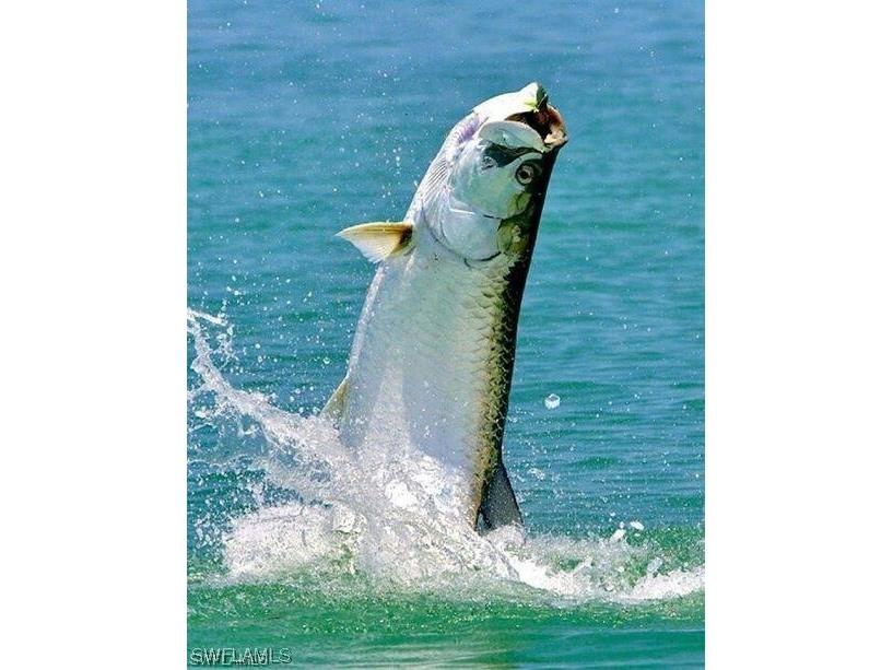 7121 Guava Avenue Bokeelia FL 33922 223036467 image4