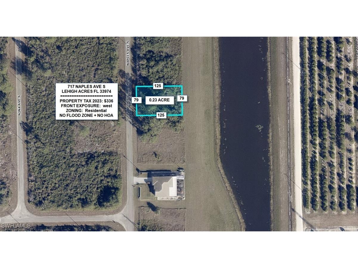 717 Naples Avenue S Lehigh Acres FL 33974 224062093 image1
