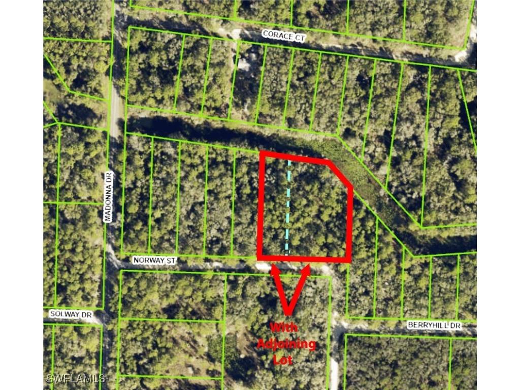 7200 Norway Street Webster FL 33597 225053913 image2