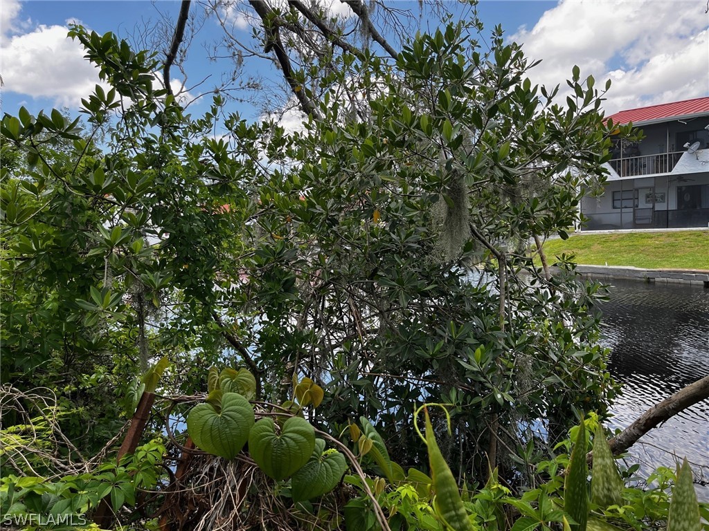 7204 + 7202 Maida Lane Fort Myers FL 33908 224033826 image3