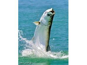 7251 Orange Avenue Bokeelia FL 33922 225035014 image3