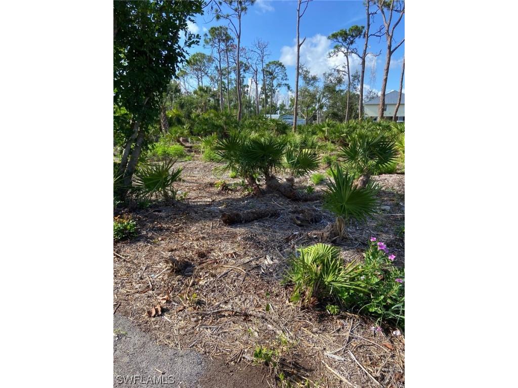 7261 Guava Avenue Bokeelia FL 33922 223035961 image4