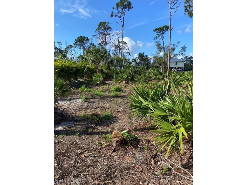 7261 Guava Avenue Bokeelia FL 33922 223035961 image6