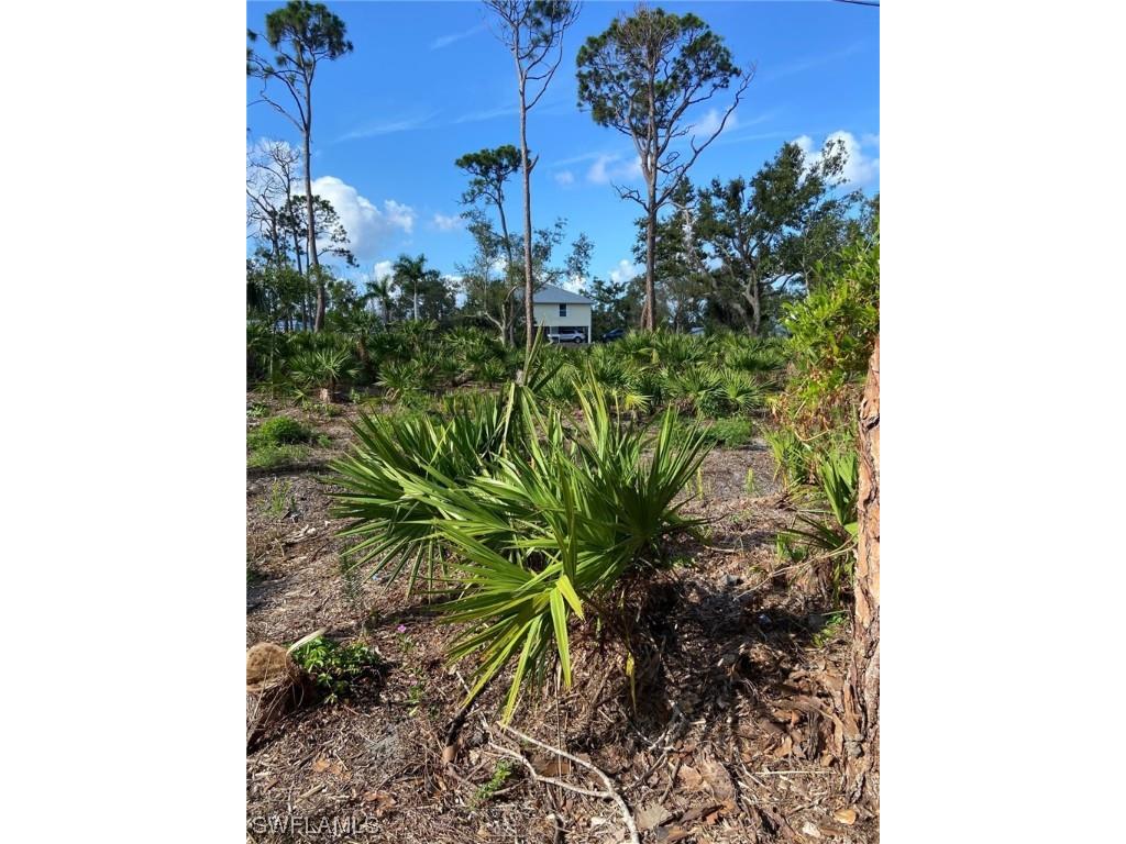 7261 Guava Avenue Bokeelia FL 33922 223035961 image7