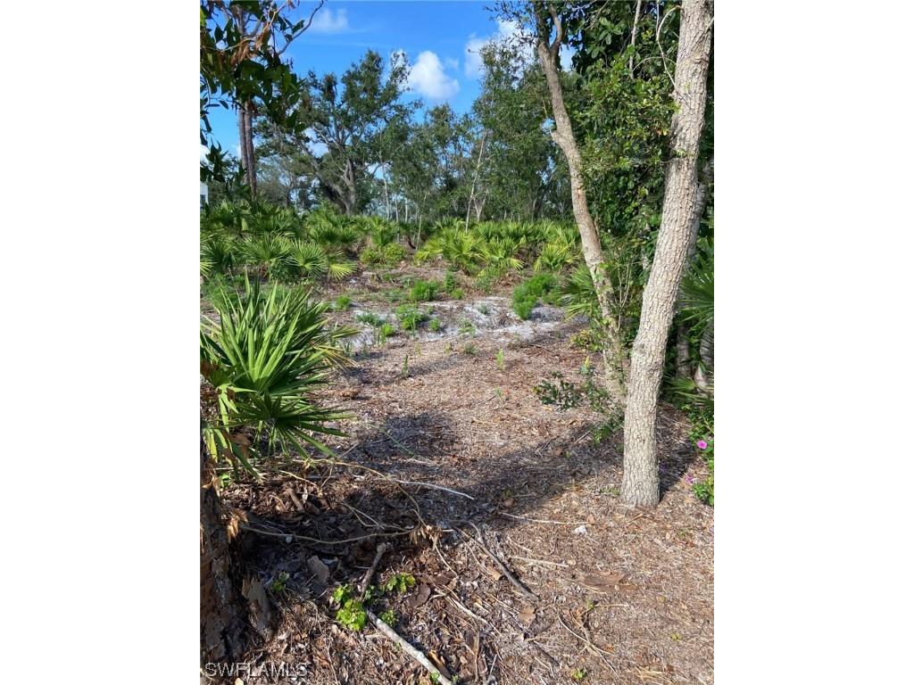 7261 Guava Avenue Bokeelia FL 33922 223035961 image8