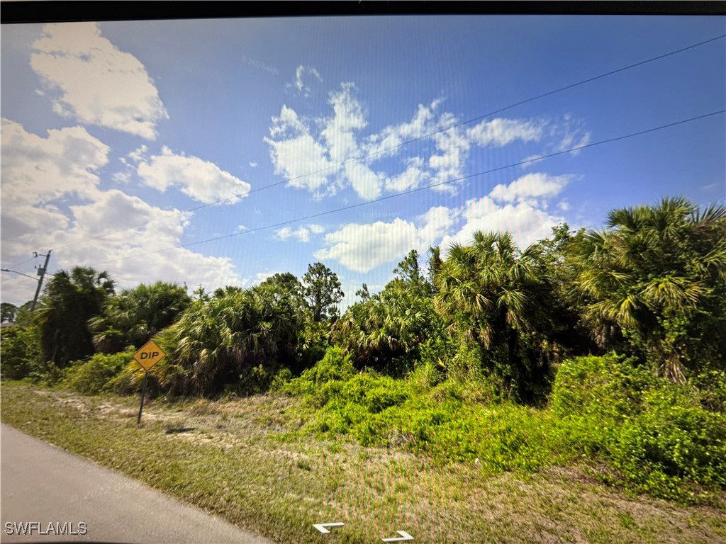 737 Long Island Street E Lehigh Acres FL 33974 225004393 image1