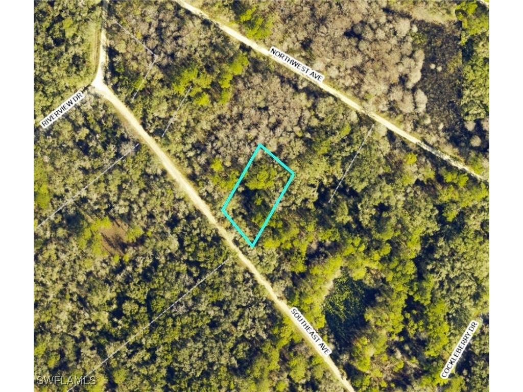 7398 Southeast Avenue Webster FL 33597 225053917 image2