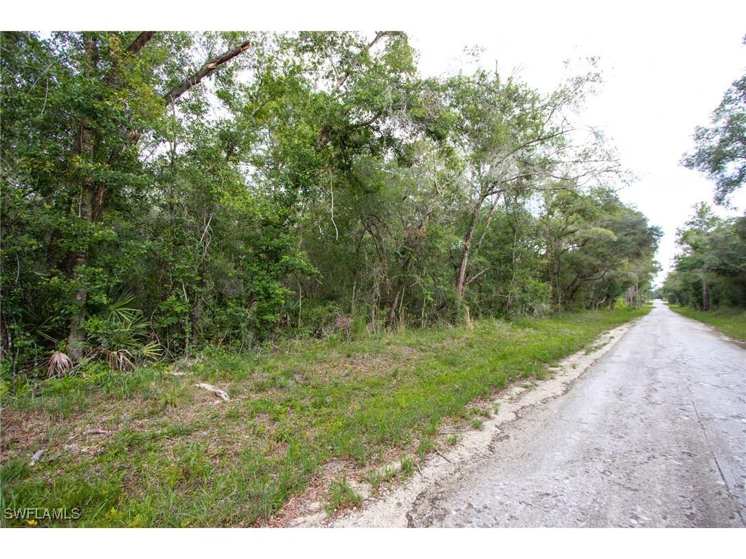 7398 Southeast Avenue Webster FL 33597 225053917 image4