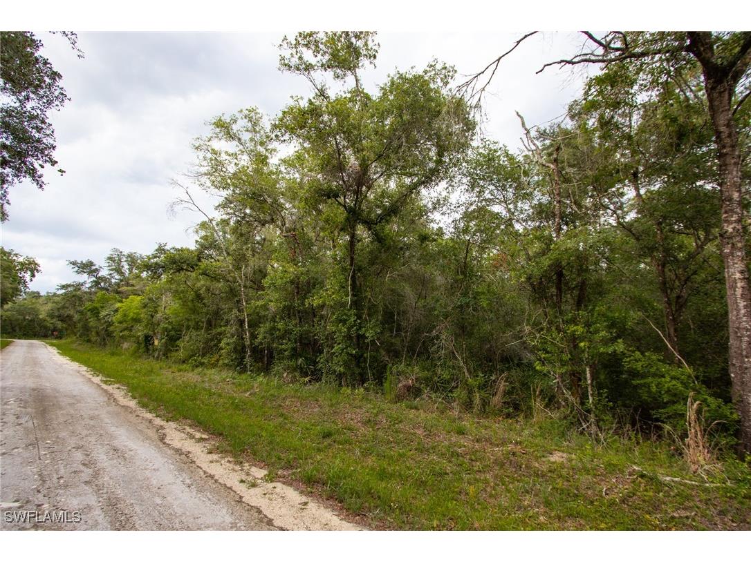 7398 Southeast Avenue Webster FL 33597 225053917 image5