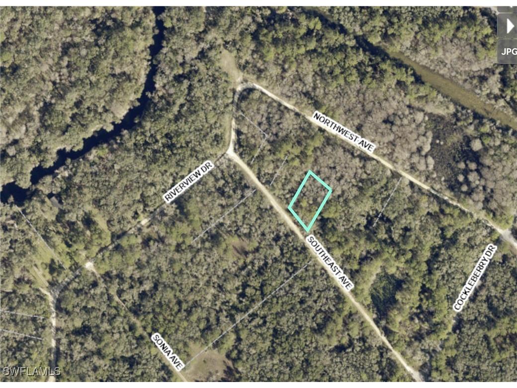 7406 Southeast Avenue Webster FL 33597 225053916 image1