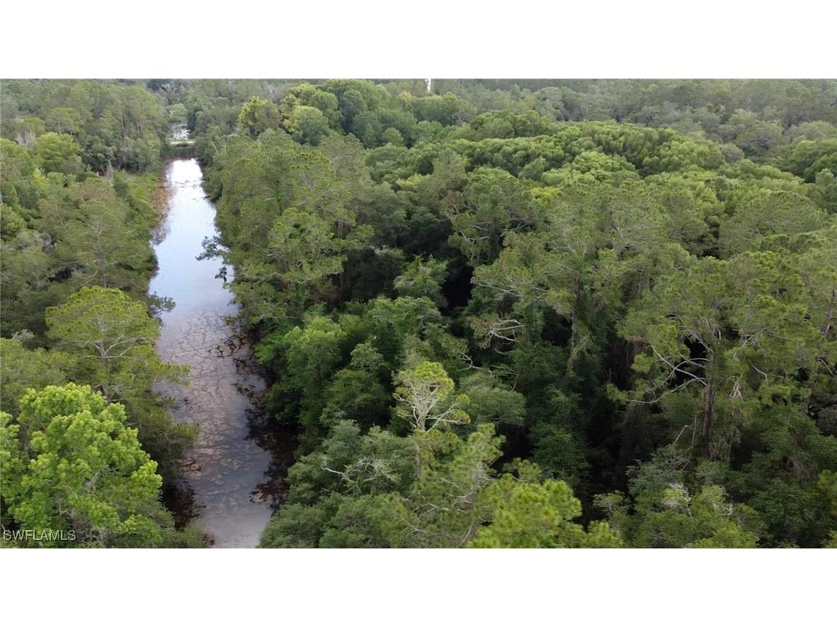 7466 Northwest Avenue Webster FL 33597 225053914 image3