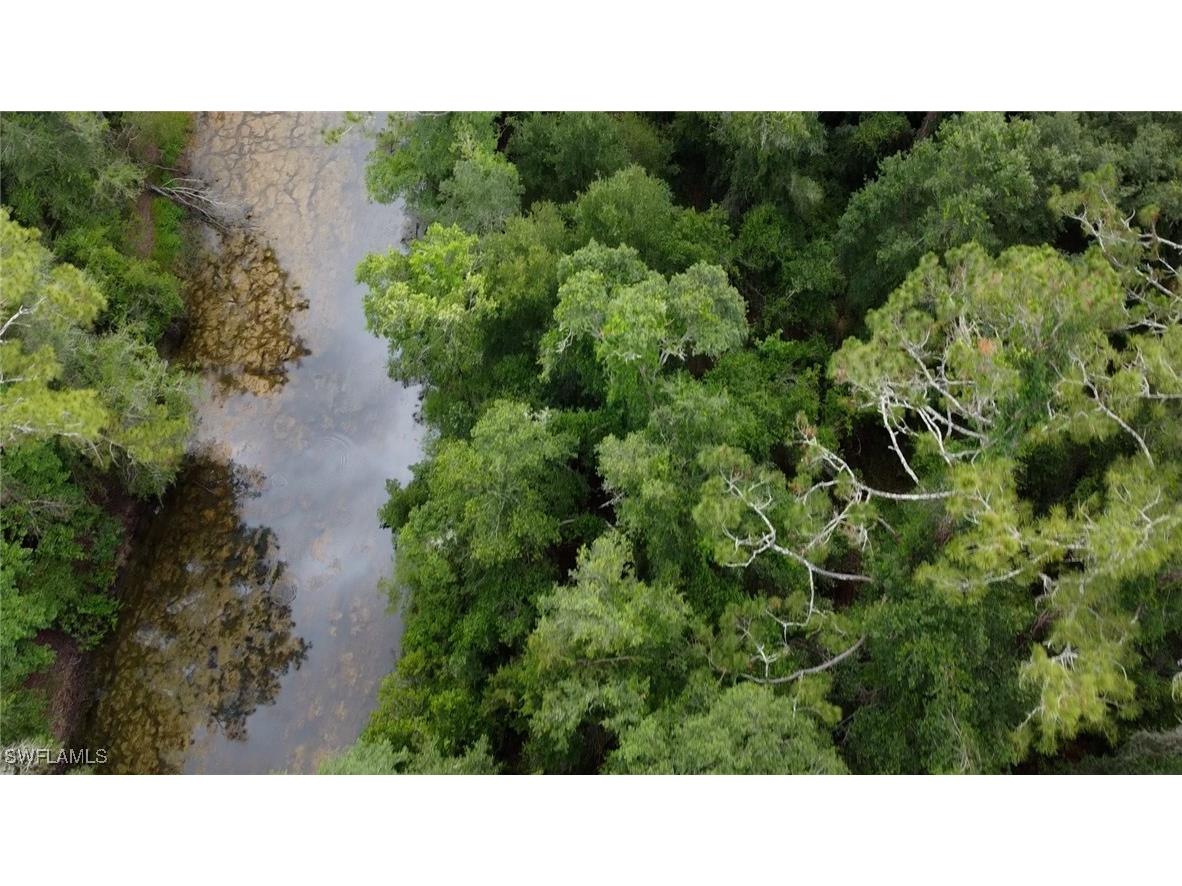 7466 Northwest Avenue Webster FL 33597 225053914 image4