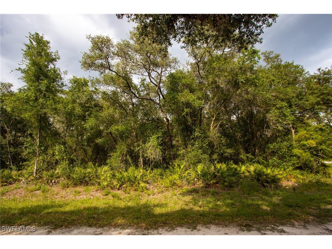 7478 N Canal Street Webster FL 33597 225053912 image4