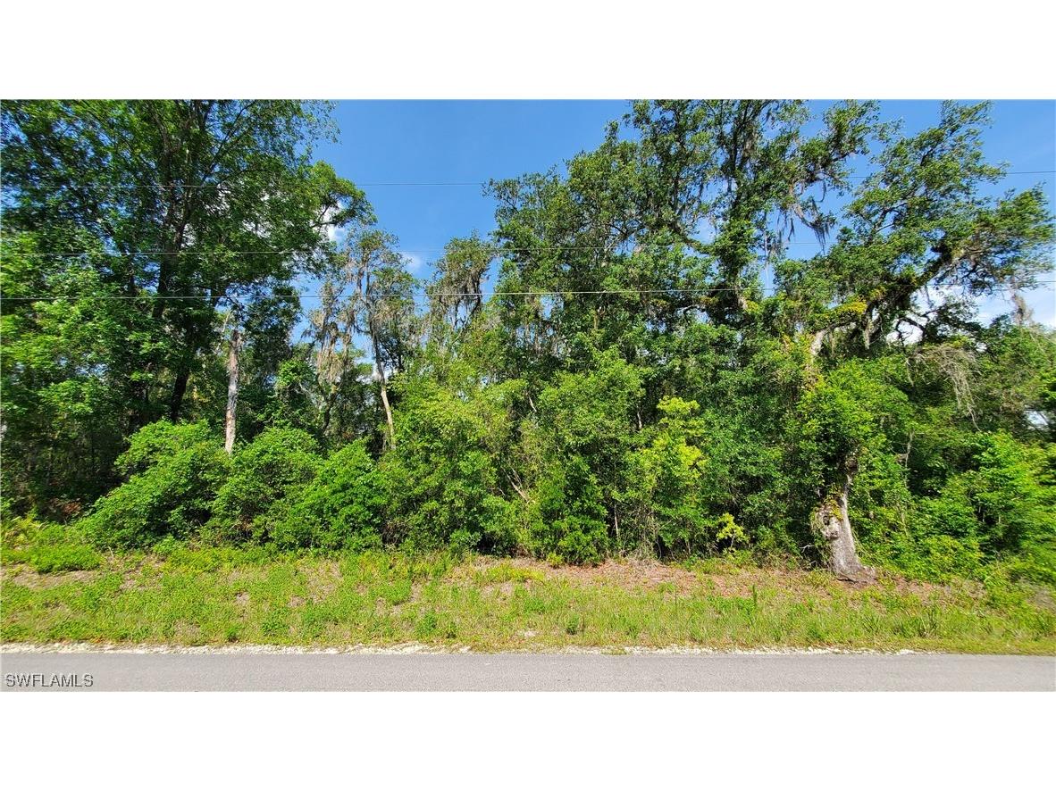 7491 Shasta Street Webster FL 33597 223041838 image1