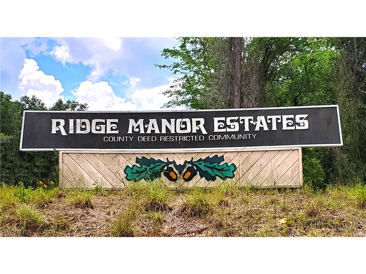 7491 Shasta Street Webster FL 33597 223041838 image5