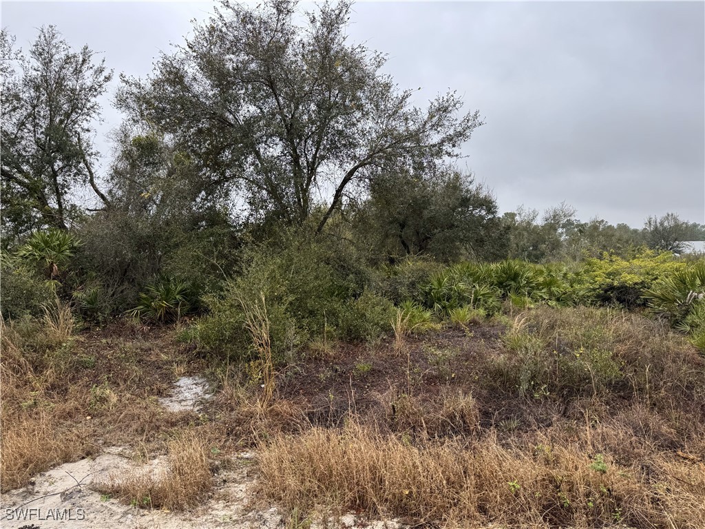 7537 20th Terrace Labelle FL 33935 224100402 image2