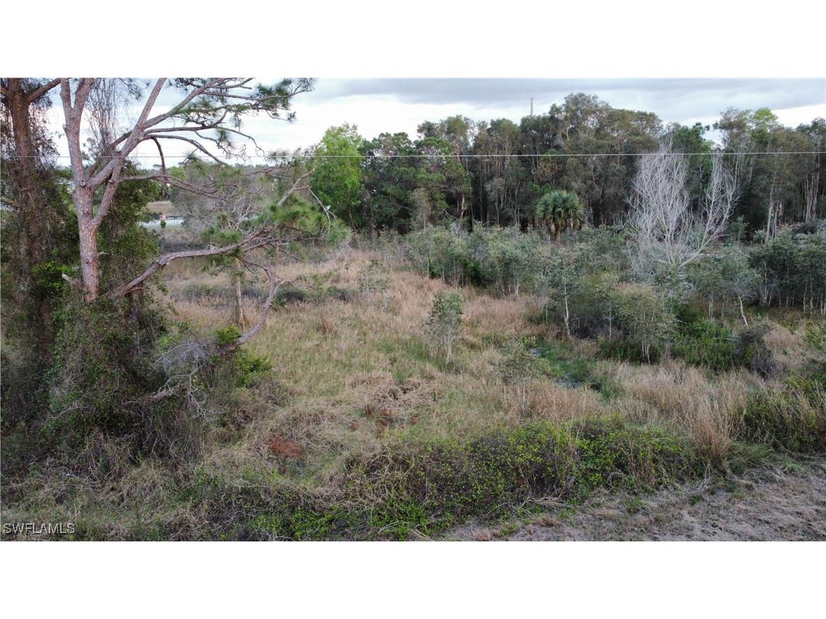 757 Crystal Avenue S Lehigh Acres FL 33974 225011041 image1